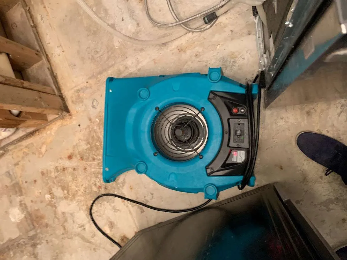 Air mover drying equipment for Mold Remediation & Removal in Tomball